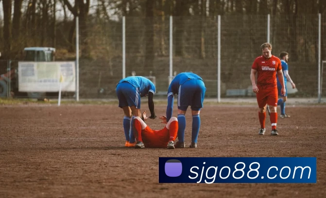 世纪娱乐官网平台生态图